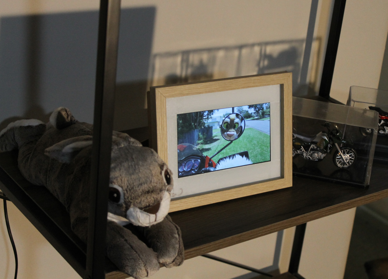 The final photo frame on display next to an IKEA hare plush toy and small scale motorbikes, one KLR650 and one CBR650F. The image on the photo frame displays a shot of a KLR dashboard and mirror.