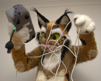 A lynx trying to plug in a toaster.